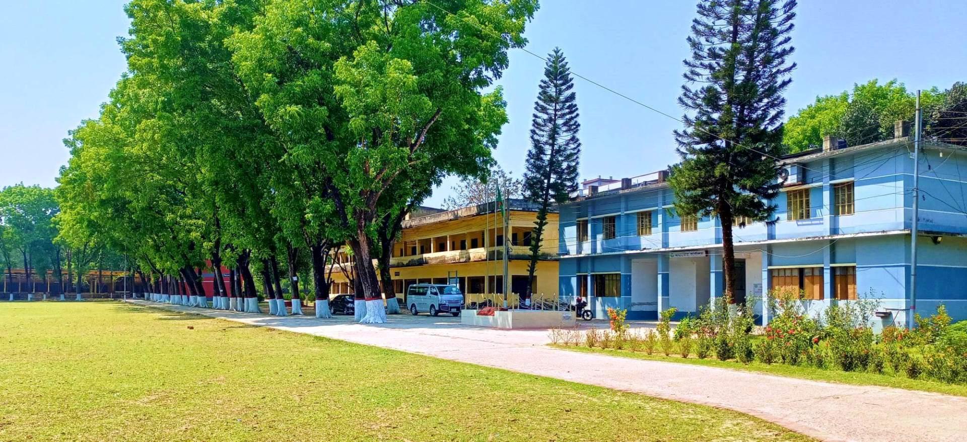 Slide Image